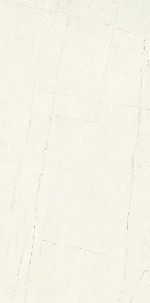 維納斯白